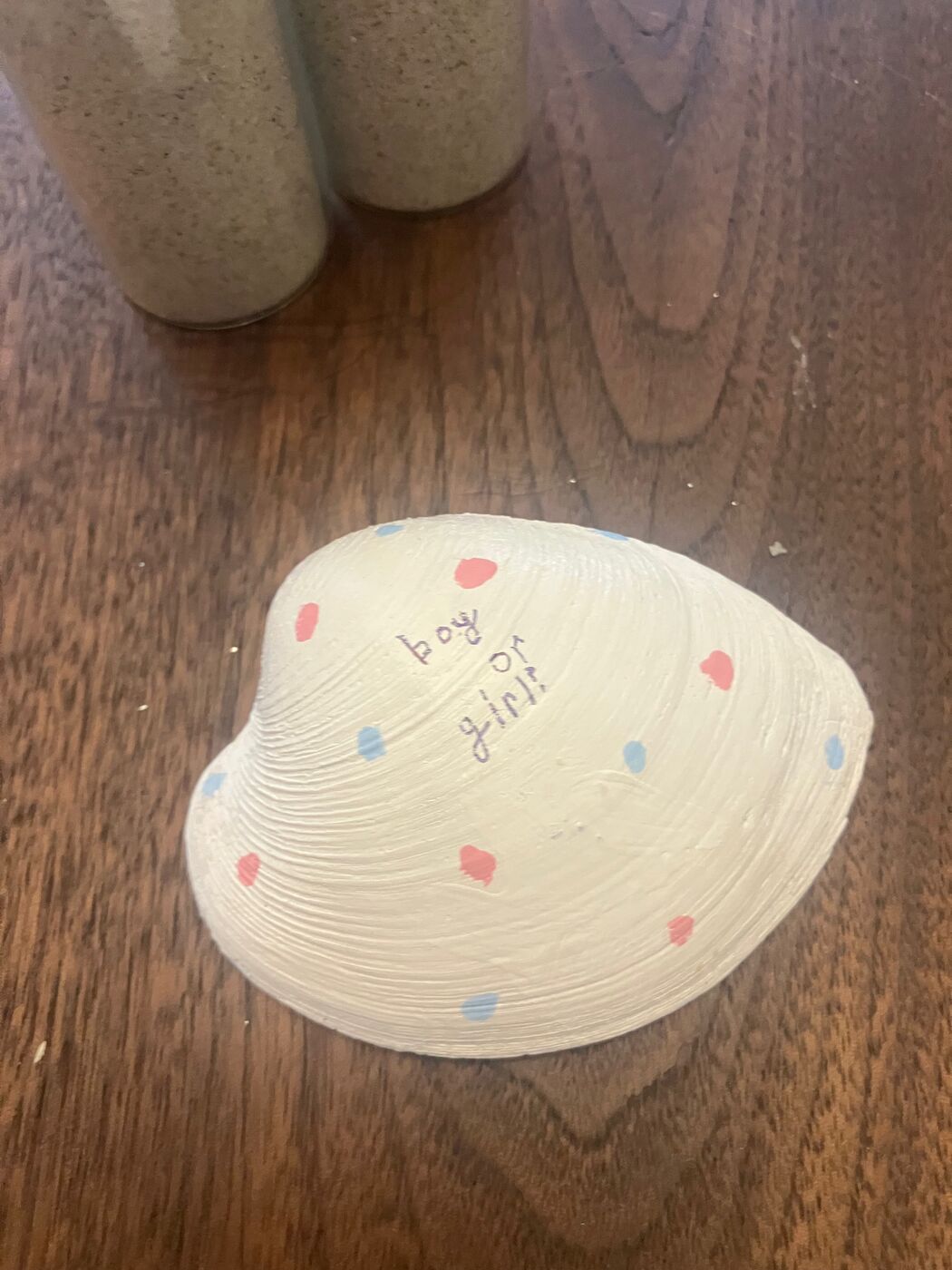 White clam shell painted with pink and blue hearts for a gender reveal